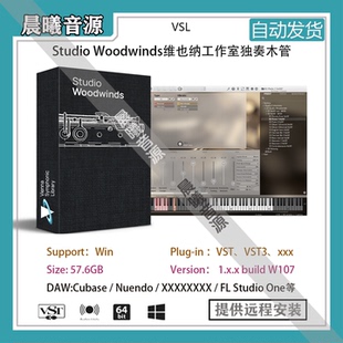 VSL Studio Woodwinds维也纳工作室独奏木管音色库PC版本