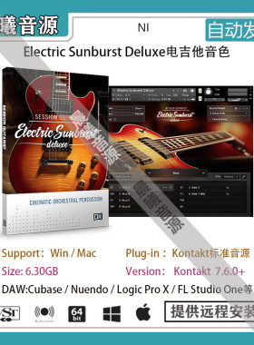Session Guitarist Electric Sunburst Deluxe v1.1电吉他音色库
