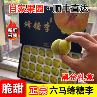 正宗贵州六马蜂糖李子安顺镇宁脱骨李孕妇水果鲜果大果精品礼盒