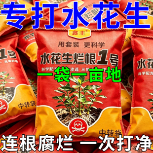 水花生专用药正品水花生锄草剂强效除水花生连根烂阔叶草专杀农用