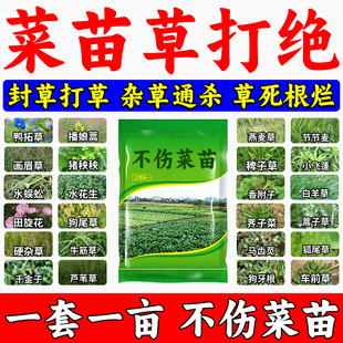 菜地锄草菜地菜苗苗后剂狗尾草牛筋草灰灰菜不伤苗菜地通用剂套装