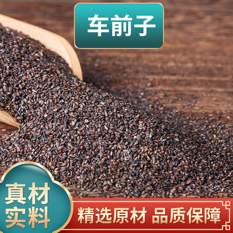 车前子中药材车前子 车前草籽洋车前子籽原材料煮水泡水