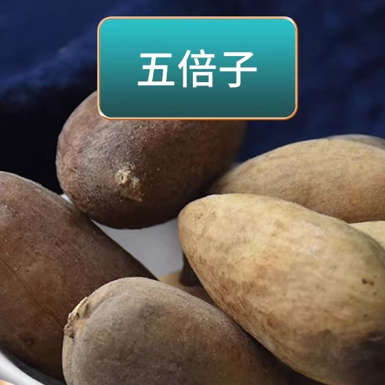 长芳主中药材正品野生五贝子百虫仓肚倍蛇床子五倍子500g可磨粉