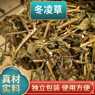 冬凌草中药材原材料独立包装王屋山济源冬凌草煮水泡水喝