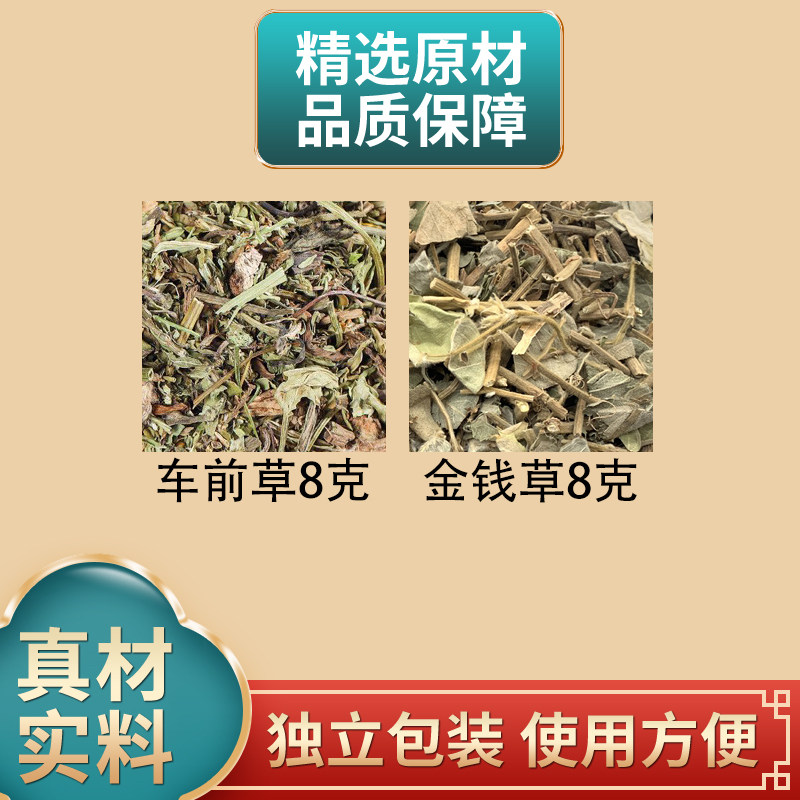 车前草8克金钱草8克组合中药材原材料车前草金钱草正品煮水
