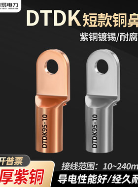 DTDK小头平方铜鼻子接线端子短款电线压线鼻子断路器专用铜接头