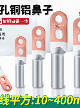 DTLS双孔铜铝鼻子紫铜白铝一体接线端子国标A级电缆线耳铜鼻子