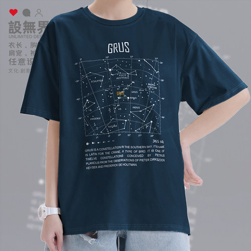 八十八星座天鹤座Grus纯短袖T恤