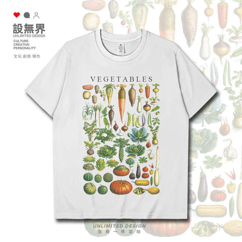 设无界蔬果胡萝卜南瓜植物学知识ins田园风短袖T恤男女圆领短t潮