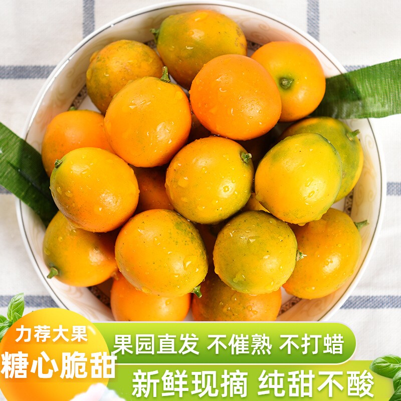 正宗脆皮金桔融安金桔現摘新鮮水果純甜小金桔子廣西特產5斤包郵_漓鮮食品旗艦店_水產肉類/新鮮蔬果/熟食