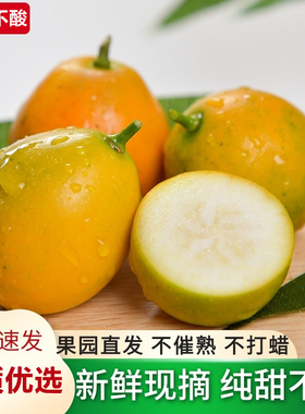 广西桂林脆皮金桔果园现摘新鲜当季水果纯甜糖心小金蜜橘子柑5斤