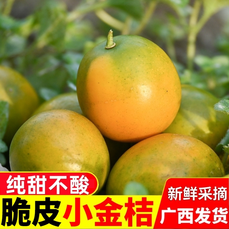 桂林脆皮糖心小金桔纯甜不酸