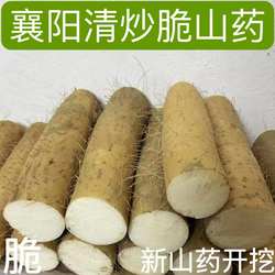 2025新鲜现挖襄阳脆山药淮山药粗山药菜山药农家沙地种植产地直发