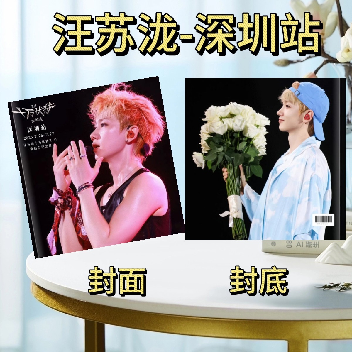 汪苏泷演唱会纪念画册照片写真集文化创意明信片