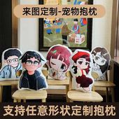 丑猫抱枕定制可印照片来图定做异形玩偶宠物枕头动物真人礼物靠枕