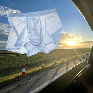 沦陷*男士内裤纯色超薄夏季透气桑蚕丝抑菌中腰舒适内裤男