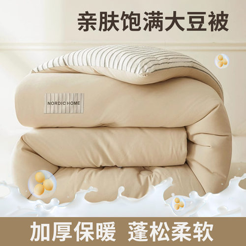 Double Soybean Fiber Quilt Core Thickened Warm Single Double