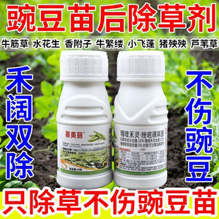 豌豆苗后专用除草烂根剂禾阔双除除精喹禾灵唑嘧磺草胺不伤豌豆苗