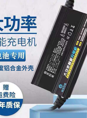 小牛电动车电池充电器N1SN1 M+M1 U1U+ USUM青春都市动力专业