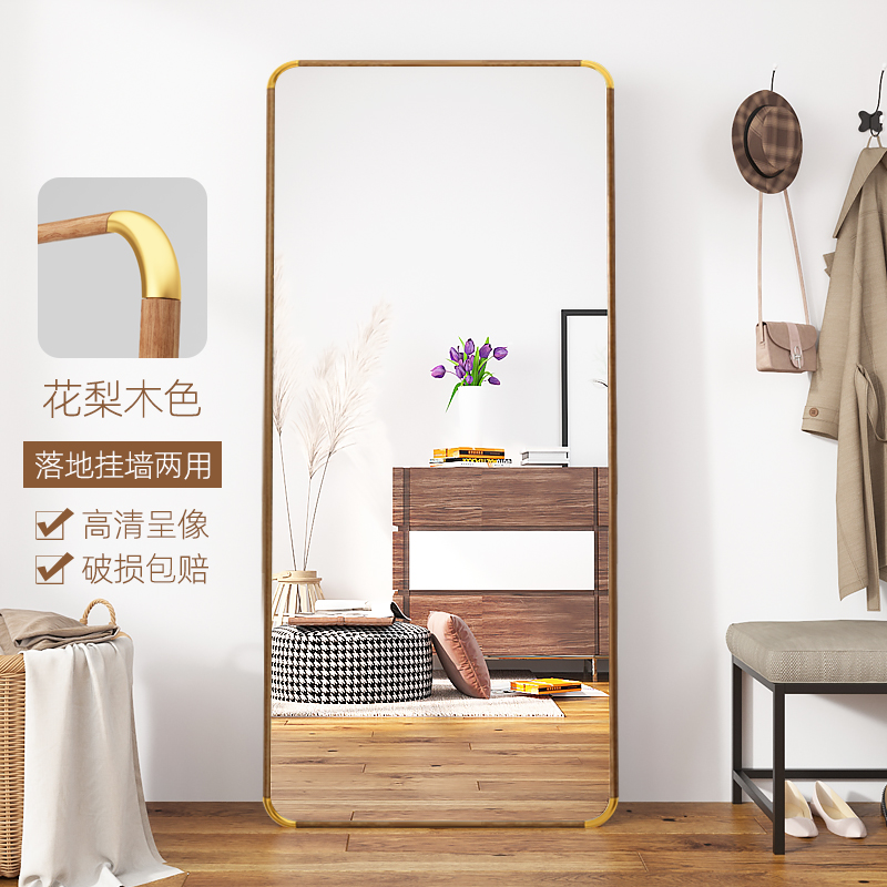 全身镜家用落地i立体穿衣镜女生卧室客厅简约壁挂式试衣大镜子复