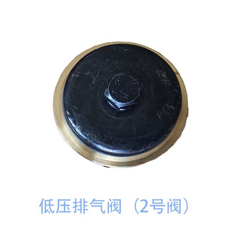 纯铜0.34/30BF,CZF-20.4/3C船用空压机进排气阀,阀片螺栓气阀阀组