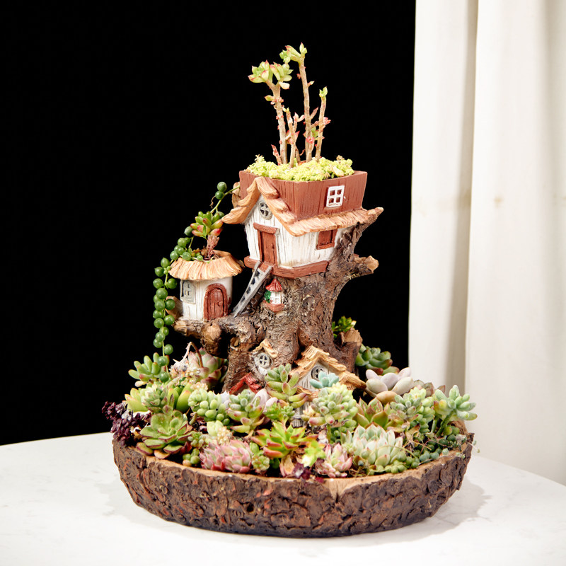 多肉花盆大口径创意个性微景观可爱植物组合阳台装饰室外阳台布置