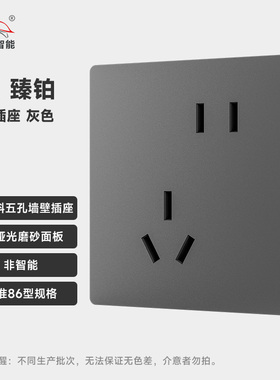 PTX-臻铂配套插座白色/灰色 按需自选