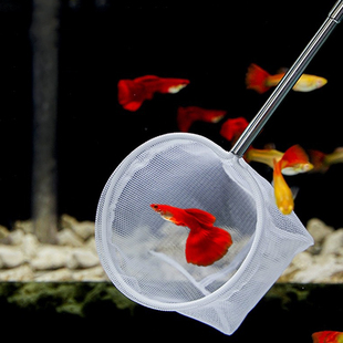 T渔捞/小B1pq801-鱼缸捞鱼网可伸缩渔捞抄网圆形方形网兜抄鱼网