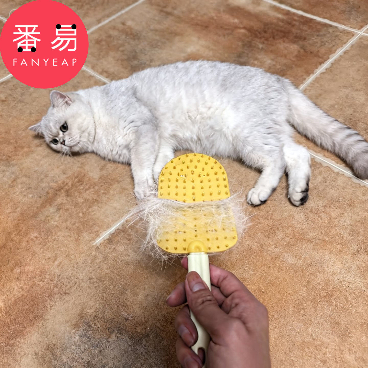 宠物梳D1pn008-猫咪宠物用浮毛梳刷毛去浮毛猫咪梳子两面可悬挂