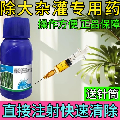 环嗪哃酮除草烂根水剂除大杂灌木强力环嗪铜水剂乔木杂草正品农药 - 封面