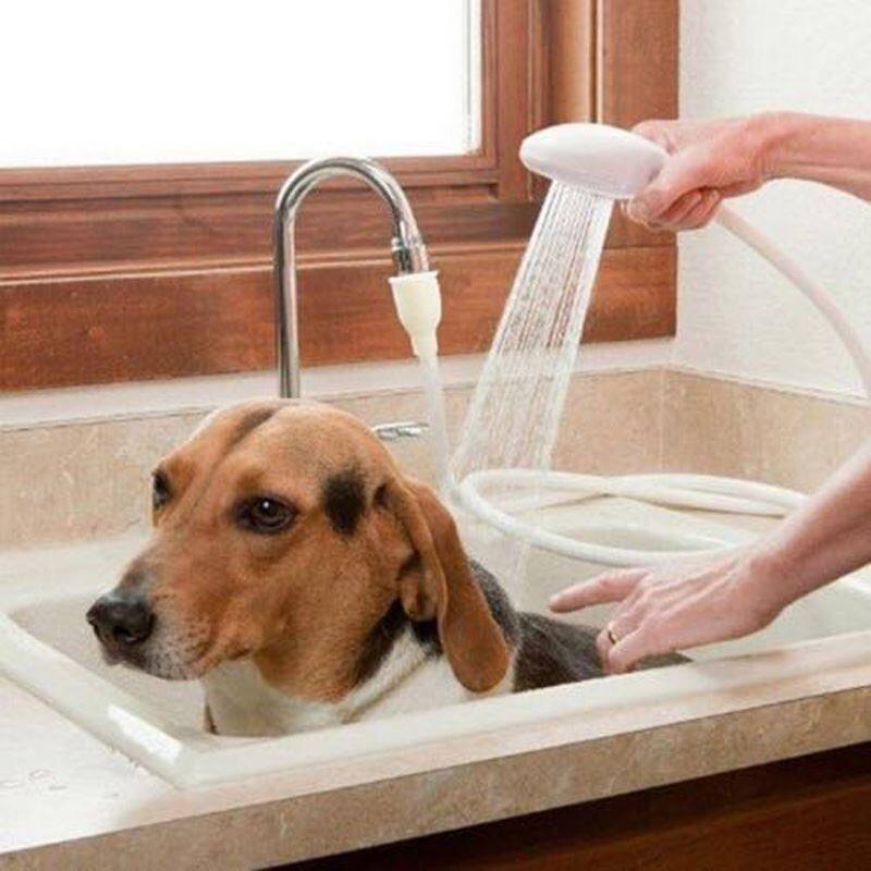 速发洗澡神器宿舍宿舍简易快接沐浴多功能接头洗头洗澡