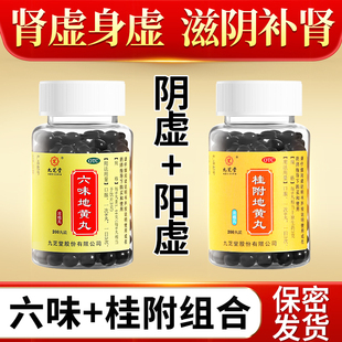 肾阴阳双补九芝堂桂附地黄丸温补肾阳虚六味地黄丸肾阴虚中成药