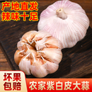 超大果农家自种大蒜头5斤新干蒜紫白皮瓣大肉厚腌制200克起