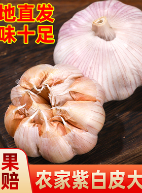 超大果农家自种大蒜头5斤新干蒜紫白皮瓣大肉厚腌制200克起