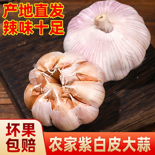 农家自种5斤新干蒜大蒜头紫白皮超大果手工挑选包邮200克起包邮