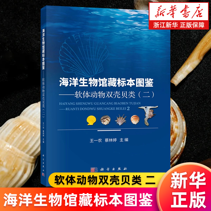 【新华书店旗舰店】海洋生物馆藏标本图鉴:软体动物双壳贝类.二 王一农//蔡林婷 正版书籍