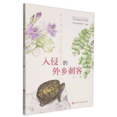入侵的外乡刺客