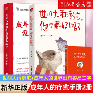 正版 包邮 世间大雨滂沱你要藏好软弱 套装 心理励志疗愈读物 世界没有容易二字 2册 疗愈手册2册 成年人