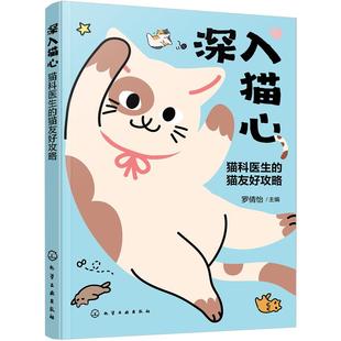深入猫心:猫科医生的猫友好攻略