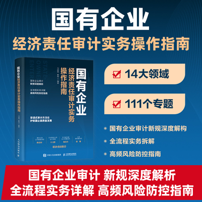 国有企业经济责任审计实务操作指南 审计人员技巧案例实务拆解详解实操案头指南工具书籍