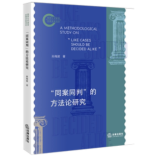 “同案同判”的方法论研究9787524410300孙海波法学综合审判研究中国
