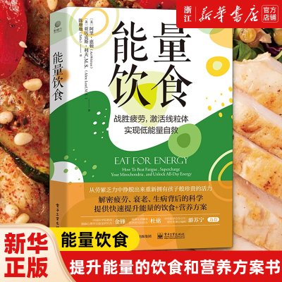 提升能量的饮食和营养方案书