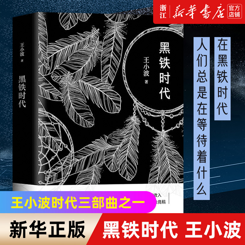 黑铁时代王小波小说集