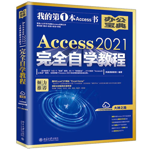 Access2021完全自学教程