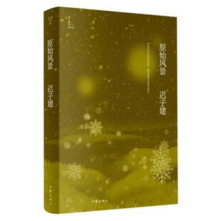 家族故事 現當代文學小說作品集 四段童年視角 茅盾文學獎魯迅文學獎得主遲子建小說代表作 新華書店旗艦店官網 原始風景