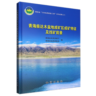 青海柴达木盆地成矿区成矿特征及找矿前景
