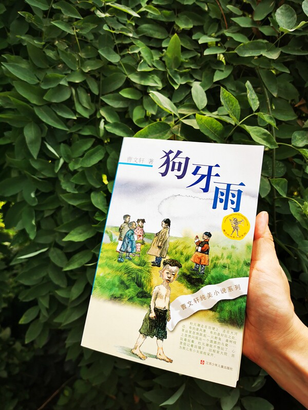 【新华书店旗舰店官网】正版包邮   狗牙雨 曹文轩纯美小说  四五六