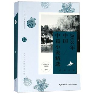 2018年中国中篇小说精选/2018中国年选系列