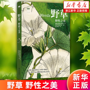 野性之美 天际线丛书 50种未被驯服 正版 野草 美丽植物130余张精美博物图像展现野草中蕴含 书籍 新华书店旗舰店