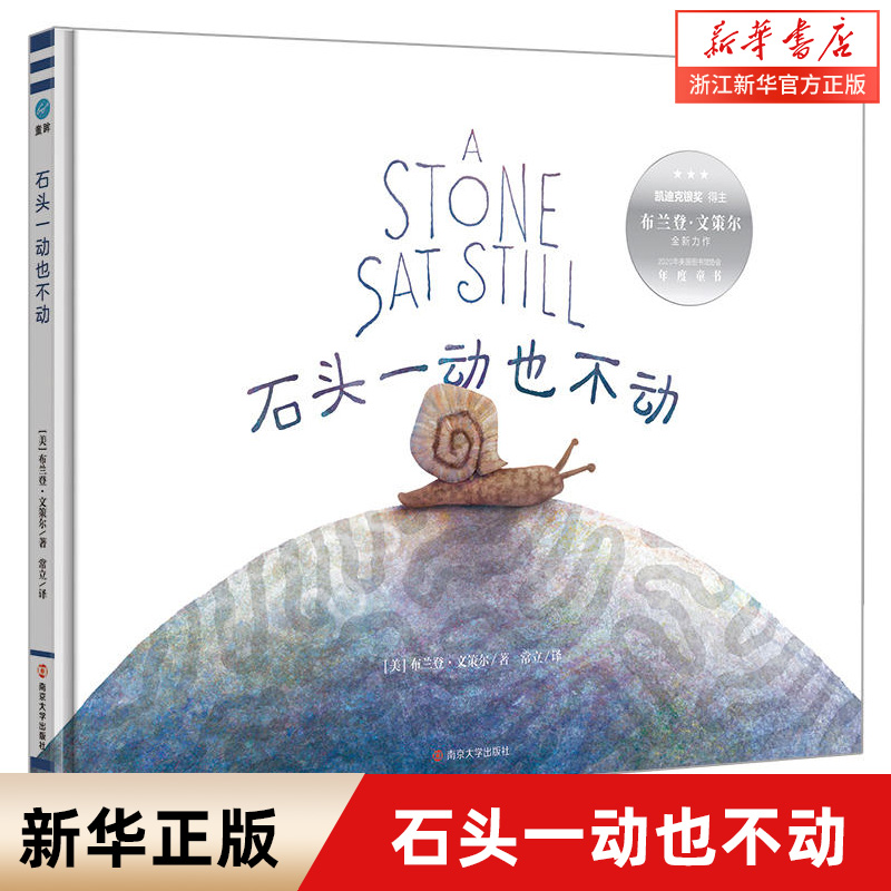 石头一动也不动